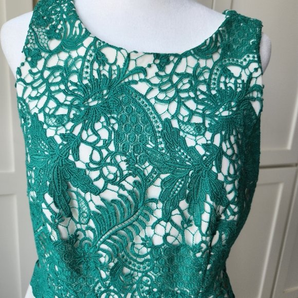 Moulinette Soeurs Arbor Lace Fit And Flare Cocktail Dress Green Cream Skirt 4 - Picture 6 of 17